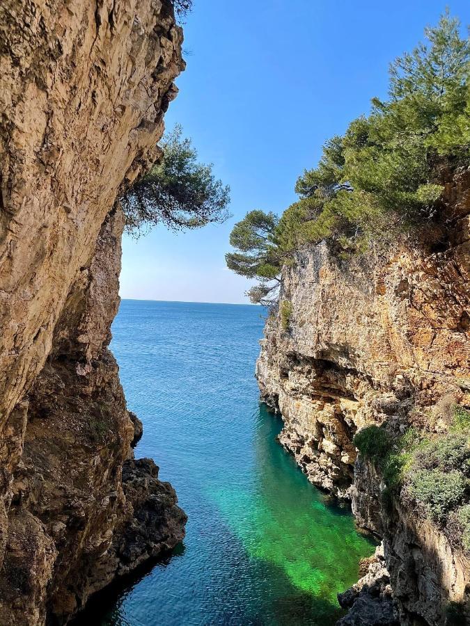 Holiday Home Bukovac プーラ エクステリア 写真