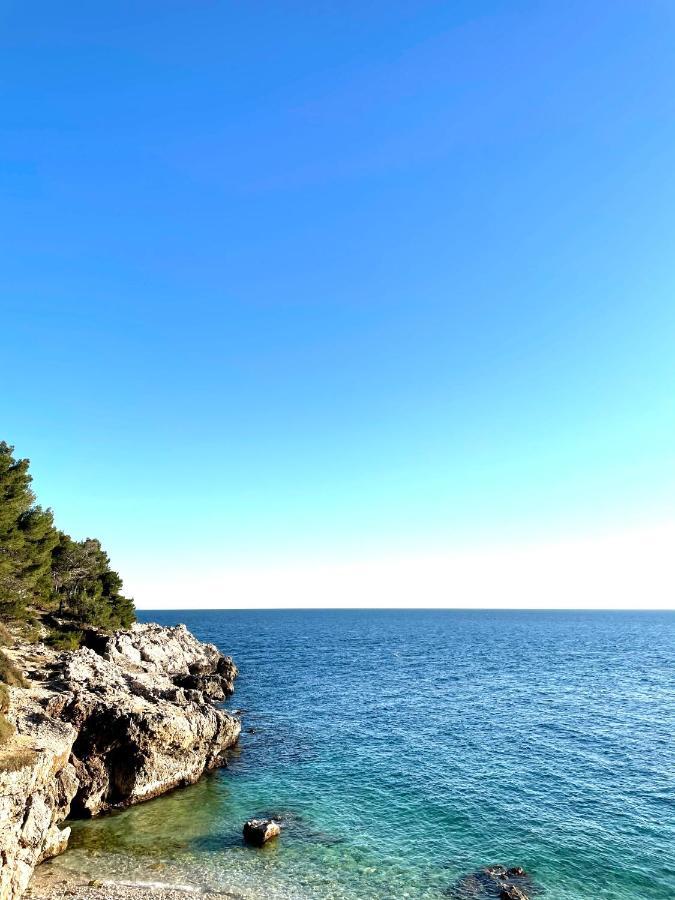 Holiday Home Bukovac プーラ エクステリア 写真